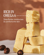L'Occitane Shea Butter Rich Comforting Cream