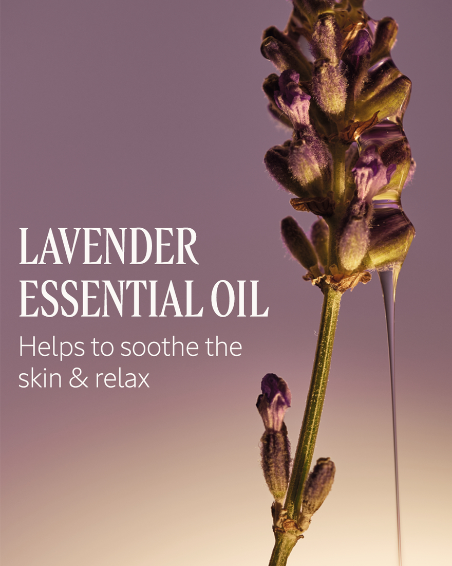 L'Occitane Le Savon Shea Lavender Extra-Gentle Body Soap 3.5oz