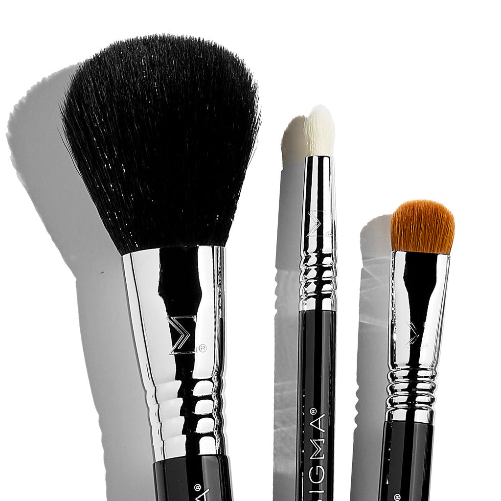 Sigmax® Essential Travel Brush Set