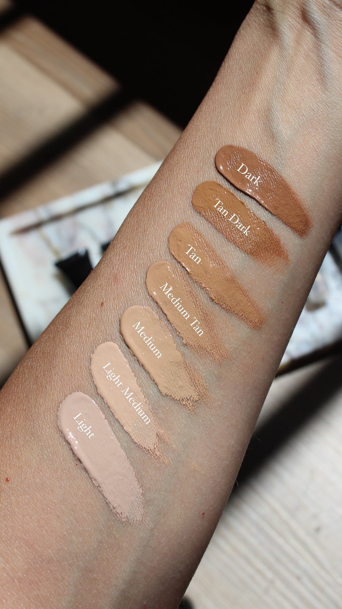 Elcie Complete Remedy Silque Concealer