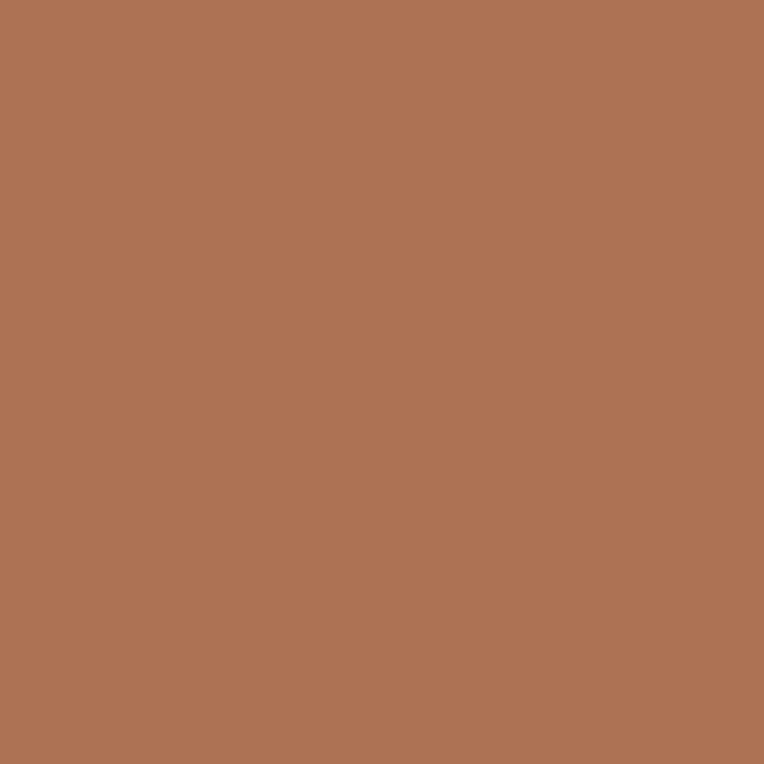 Ben Nye PC Color Cake Foundation 1oz - PC-205 Mocha Ja