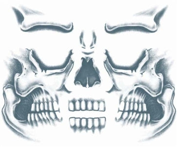 Tinsley Tattoo Transfer Kits - 411 Skull Face