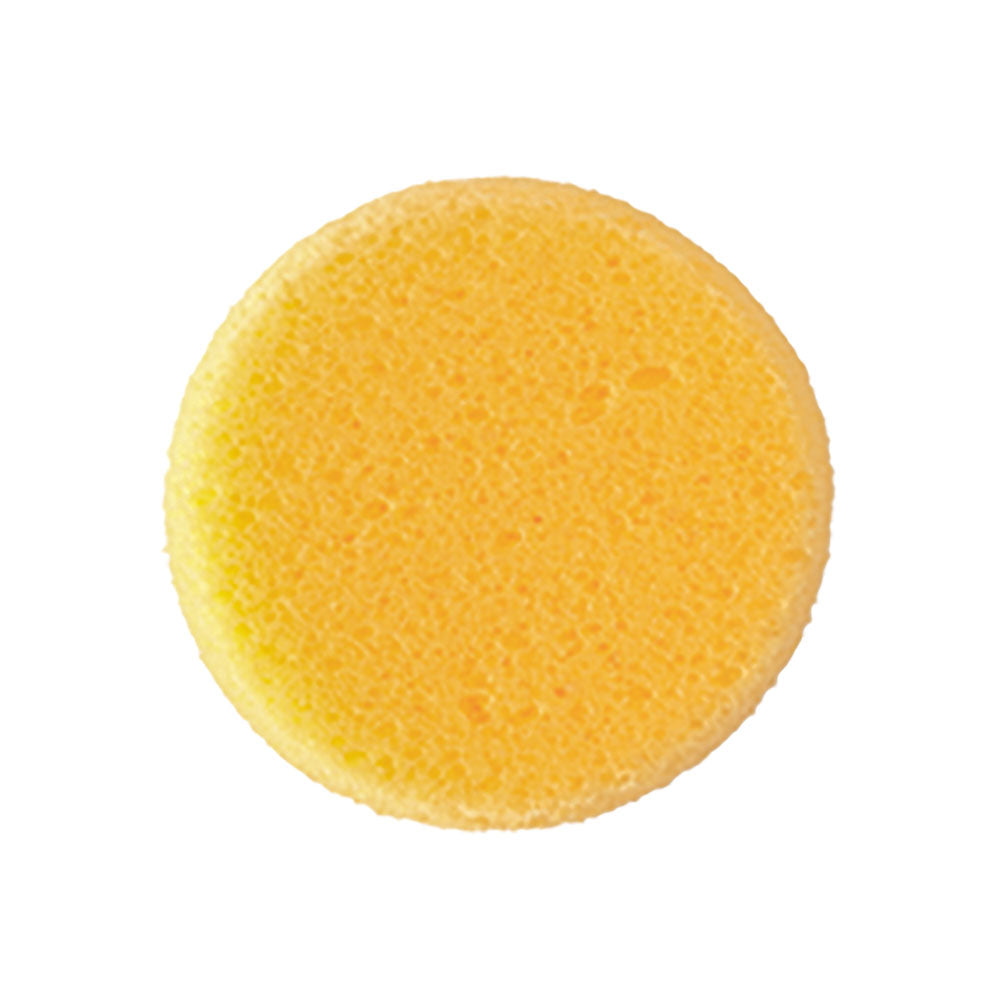 Ben Nye HS-1 Small Hydra Sponge
