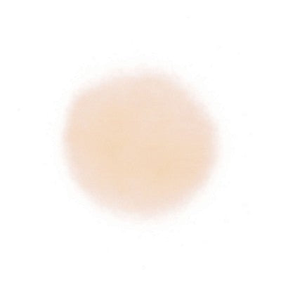 TEMPTU Perfect Canvas Airpod Highlighter - Champagne