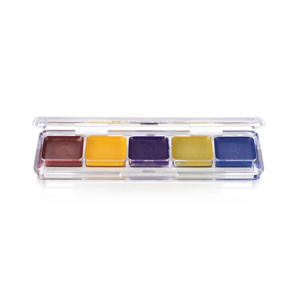 Ben Nye AAP Alcohol Palette 5 color - AAP03 Bruise FX