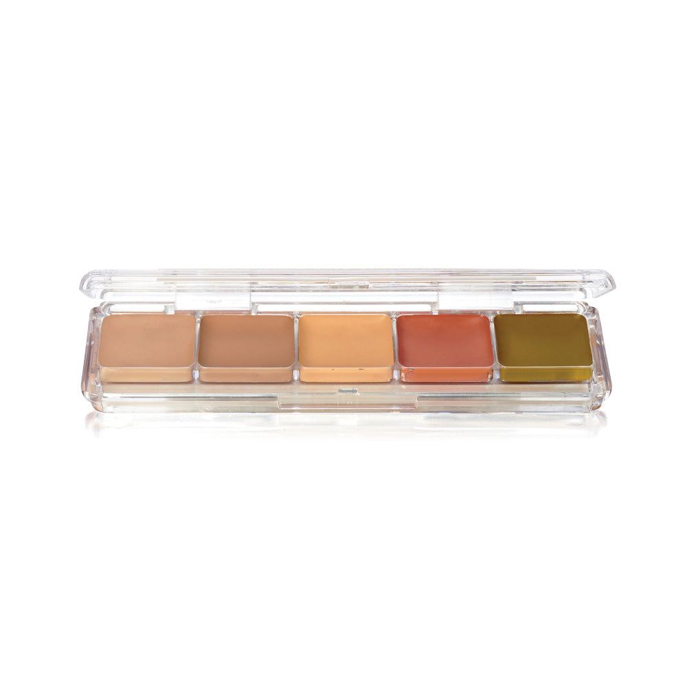 Ben Nye AAP Alcohol Palette 5 color - AAP23 Concealer & Adjuster
