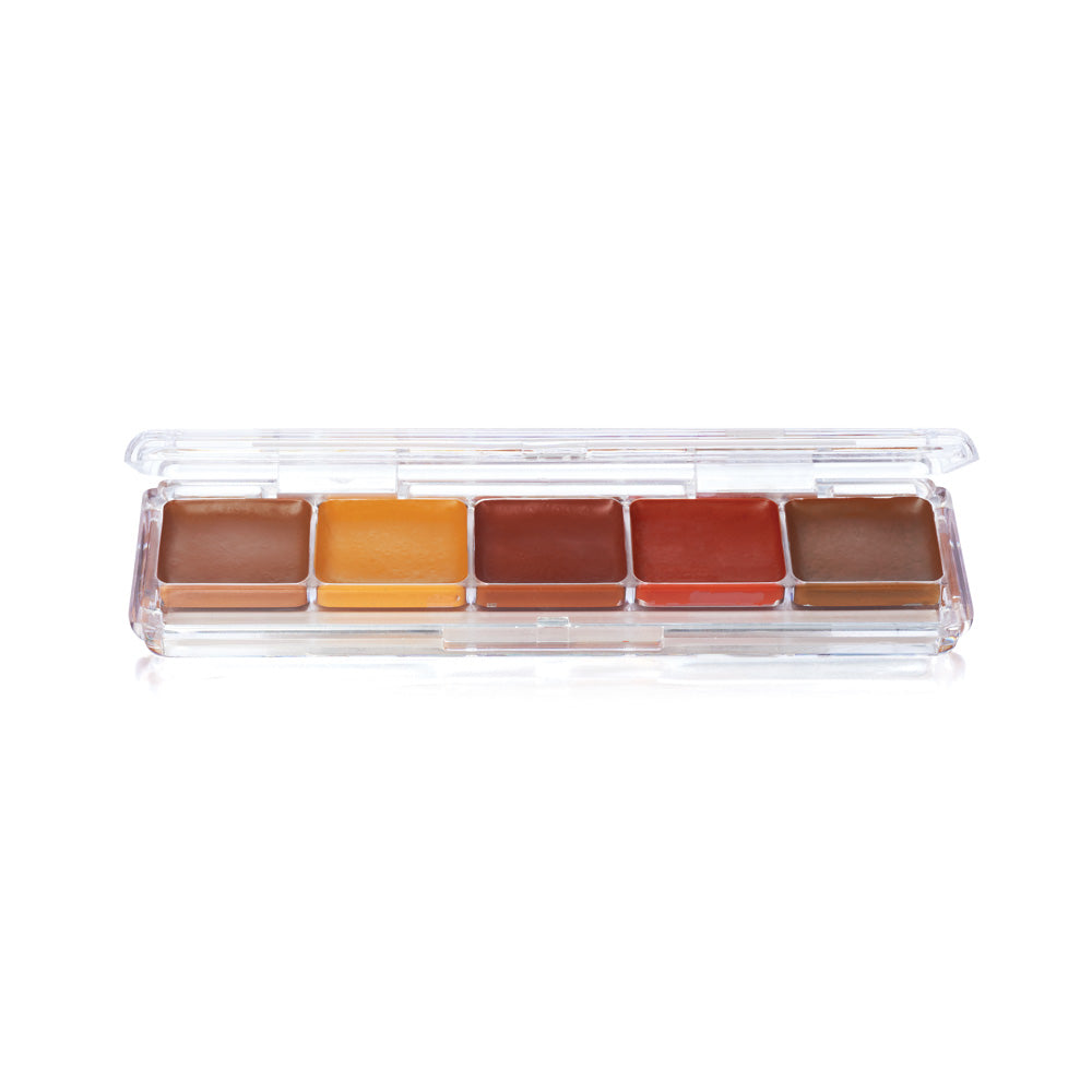 Ben Nye AAP Alcohol Palette 5 color - AAP25 Mojave