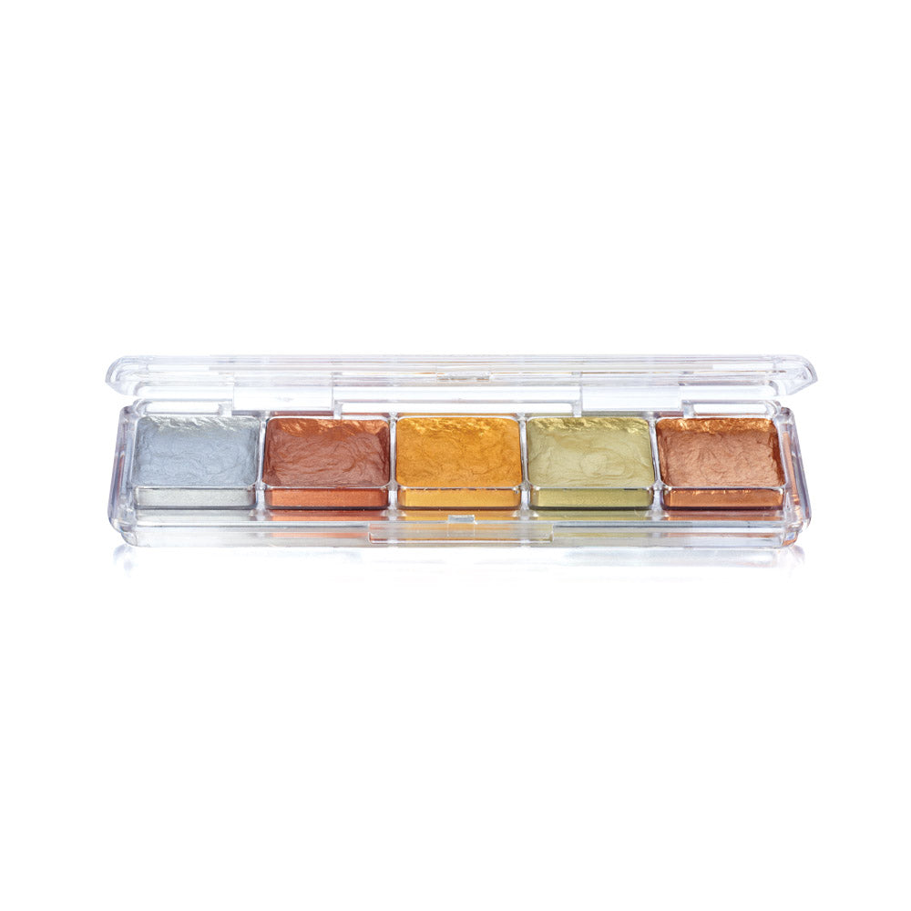 Ben Nye AAP Alcohol Palette 5 color - AAP31 Heavy Metal