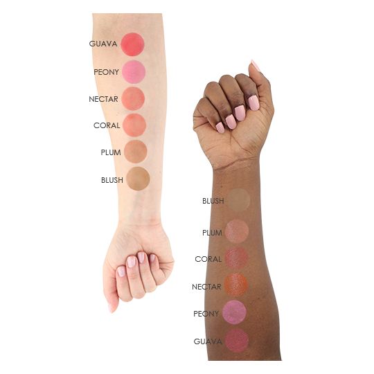 TEMPTU S/B Blush Starter Set 6 Pack 0.25oz