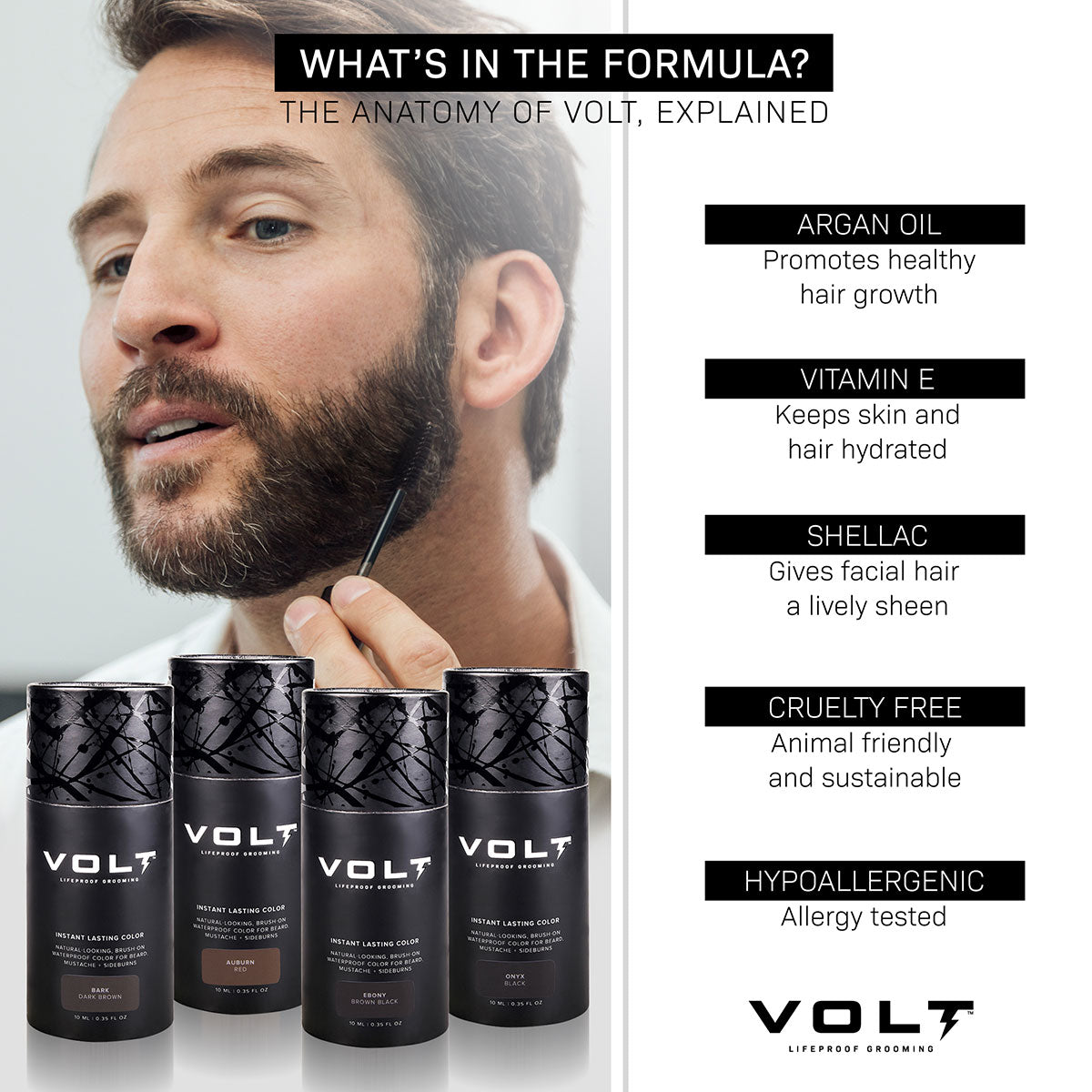 EBA Volt Instant Beard Color