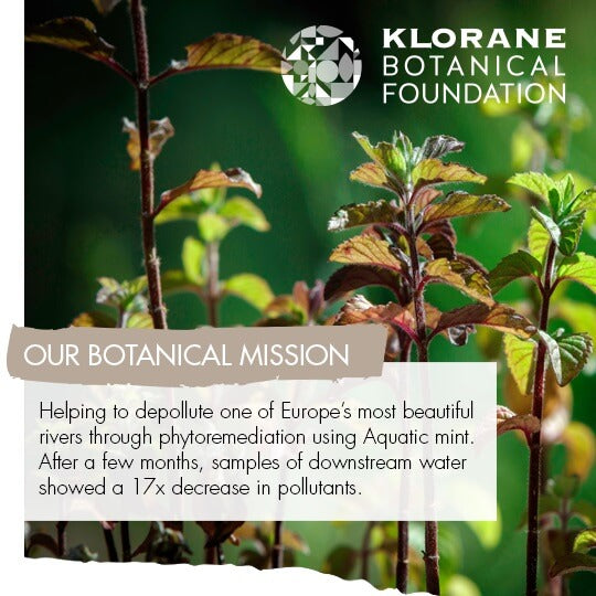 Klorane Detox Shampoo With Aquatic Mint 13.5oz