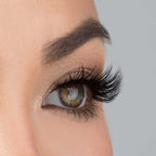 House of Lashes Lite Collection - Iconic Lite Lashes