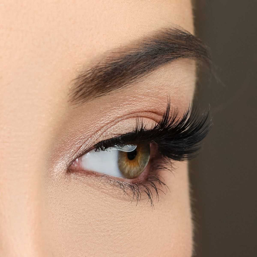 House of Lashes Premium Collection - Allura Lashes
