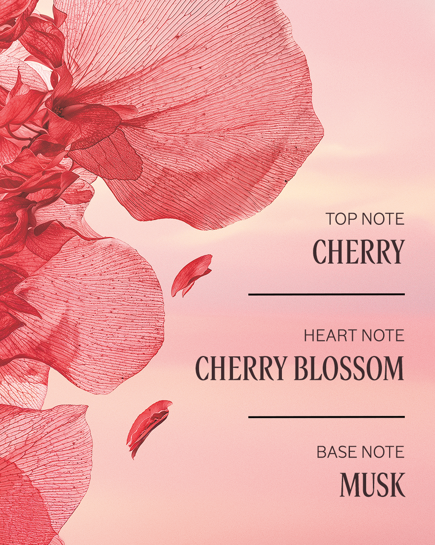L'Occitane Cherry Blossom Shower Gel 8.4oz