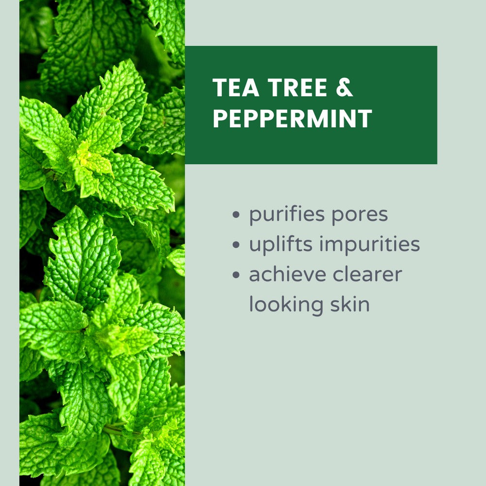 Petal Fresh Clarifying Tea Tree & Peppermint Makeup Removing Cleansing Wipes 60ct