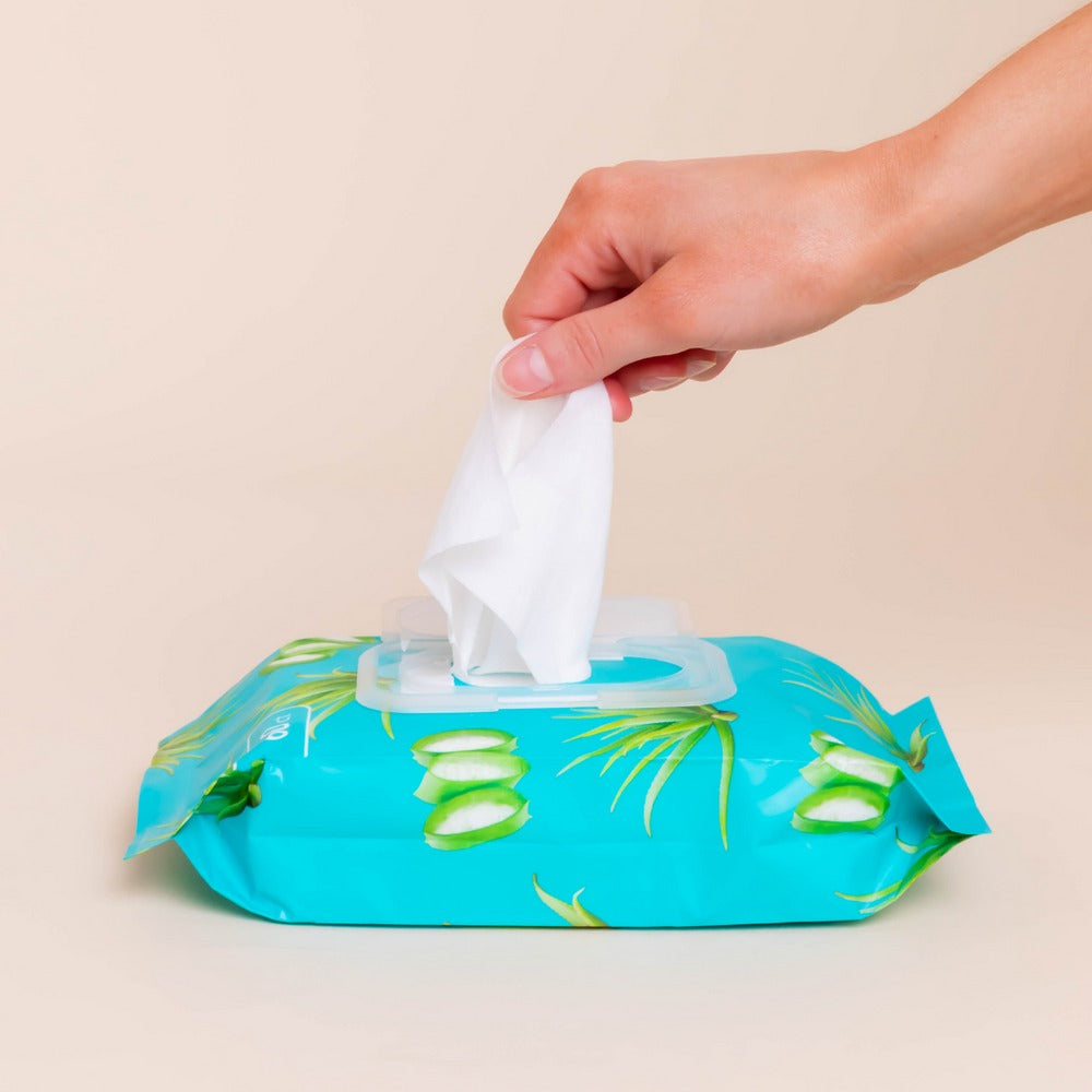 Petal Fresh Soothing Aloe Vera Makeup Removing Cleansing Wipes 60ct