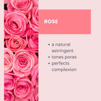Petal Fresh Toning & Balancing Rose Makeup Removing Cleansing Wipes 60ct