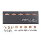 Cinema Secrets Ultimate Foundation 5-in-1 Pro Palette 500A Series