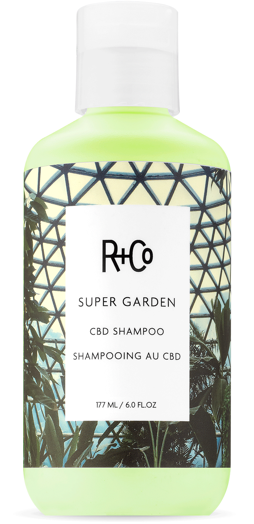 R+Co Super Garden CBD Shampoo 6oz
