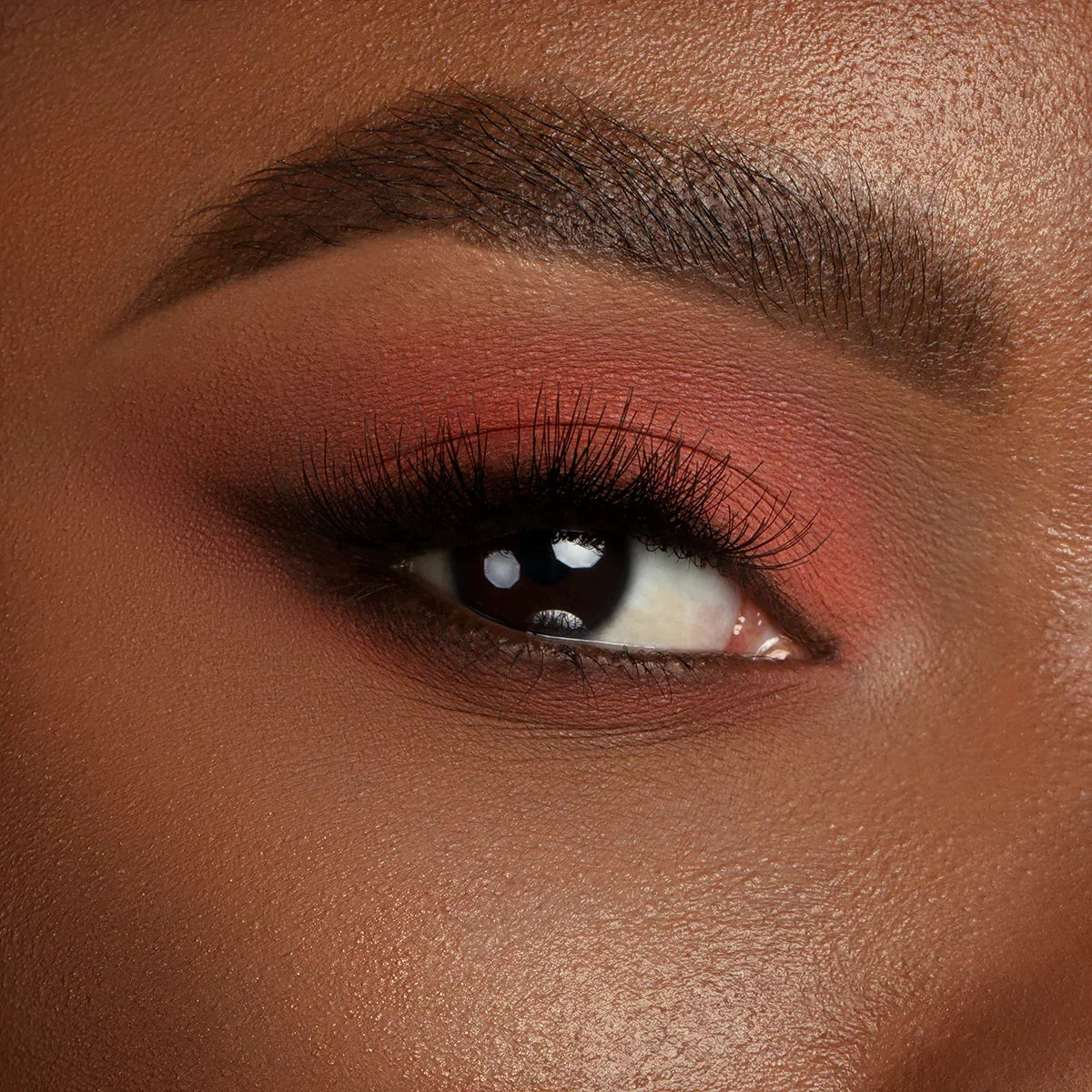 Dose of Colors Sassy Siennas Palette