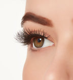 Ardell Active Lash