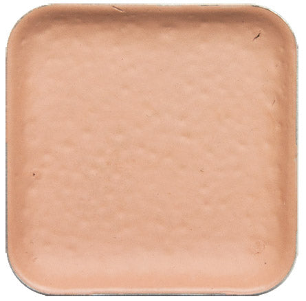 EBA Encore Pro Refill - C1