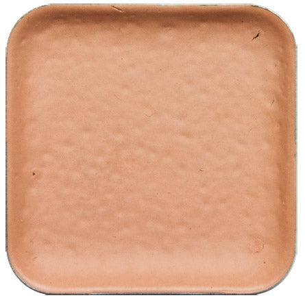 EBA Encore Pro Refill - C2
