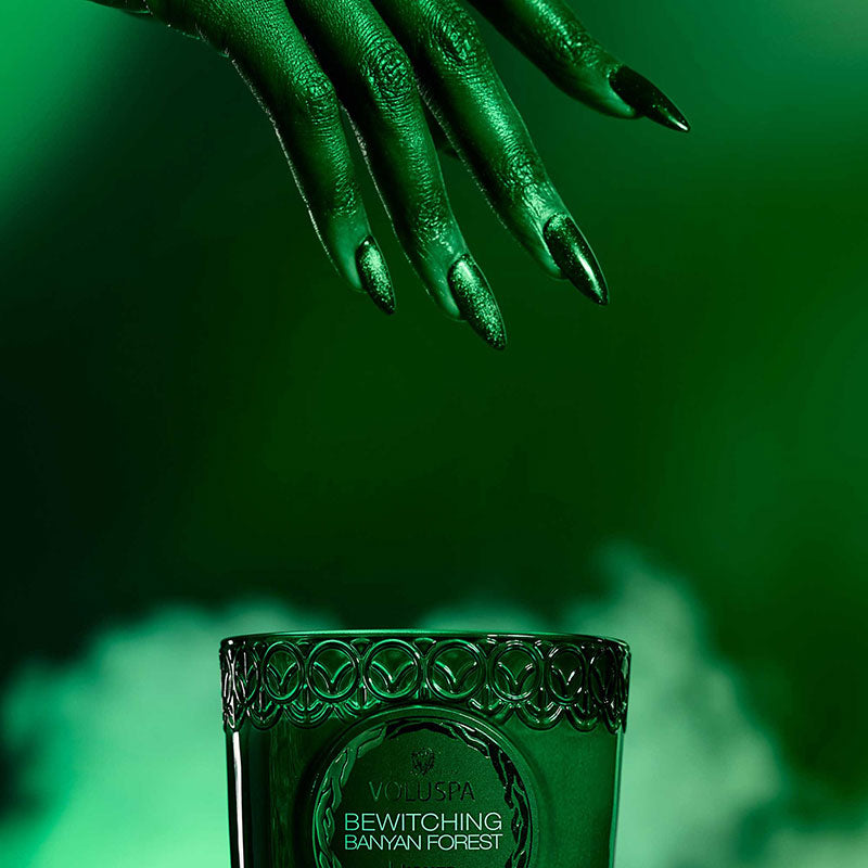 Voluspa Wicked Bewitching Banyan Forest Boxed Candle