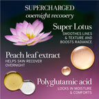 Fresh Lotus Youth Preserve Dream Night Face Cream 1.6oz
