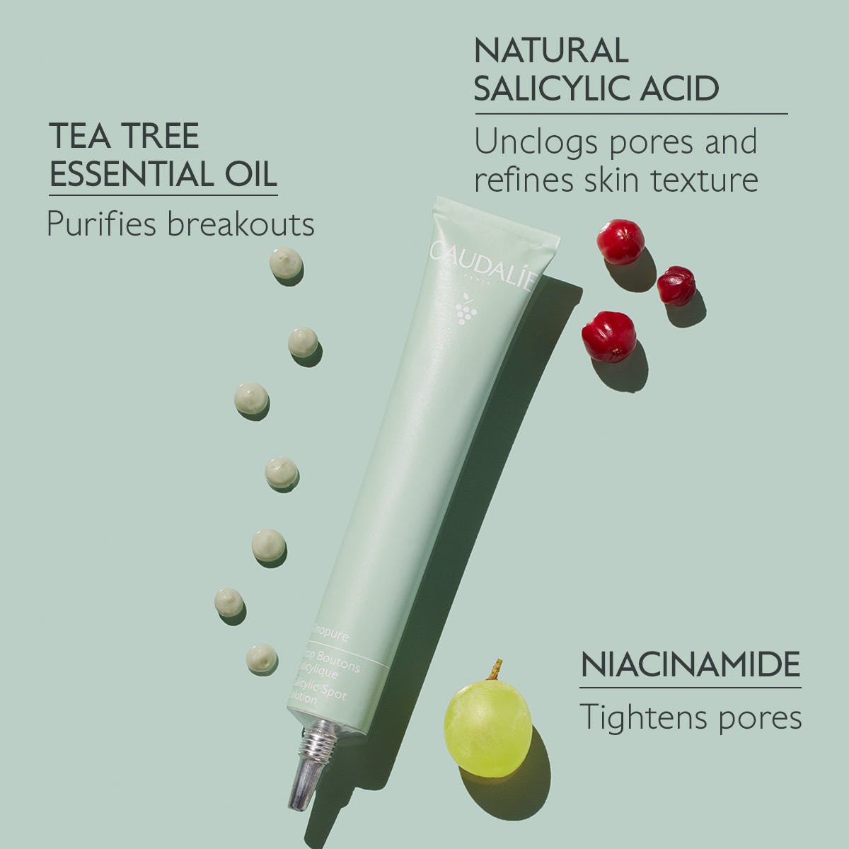 Caudalie Vinopure Salicylic Spot Solution 0.5oz
