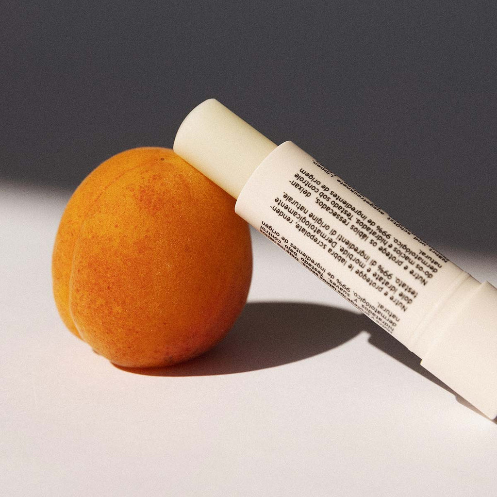 Embryolisse Protective Repair Stick 0.16oz