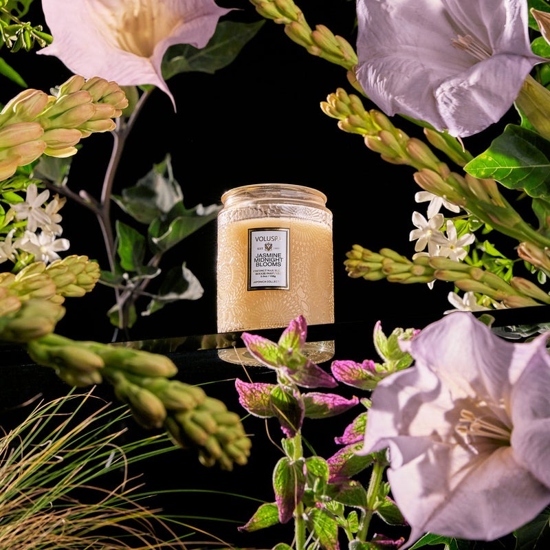 Voluspa Jasmine Midnight Blooms Small Jar Candle 5.5oz