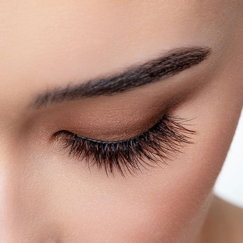House of Lashes Coffee Collection - Latte Lashes