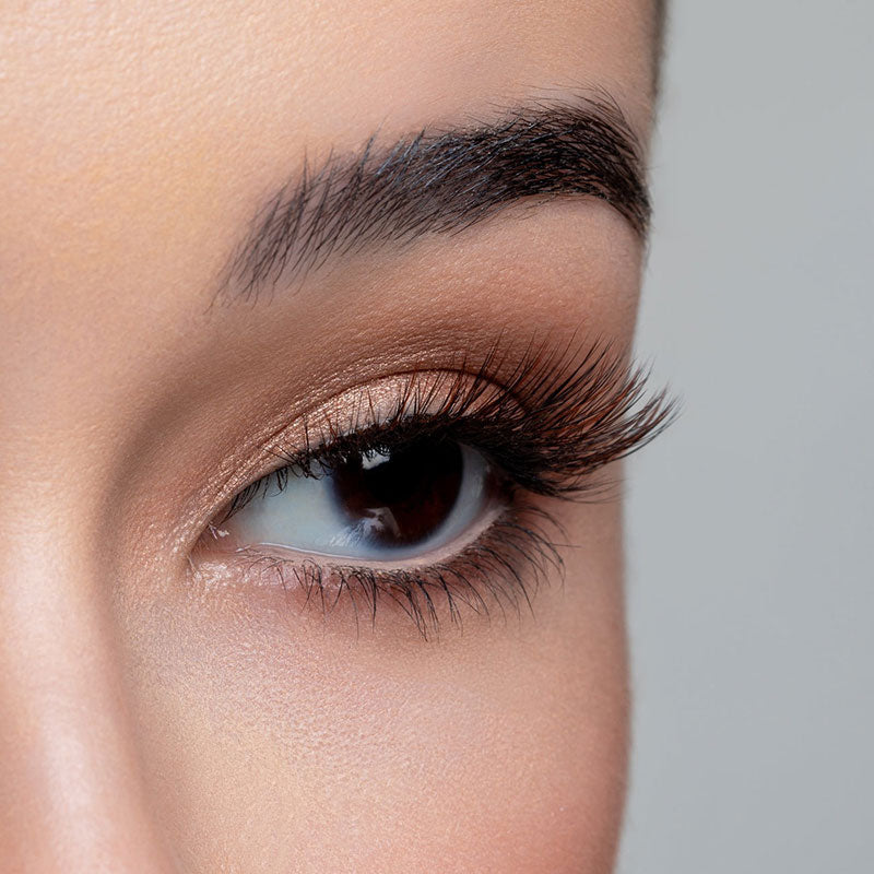 House of Lashes Coffee Collection - Latte Lashes