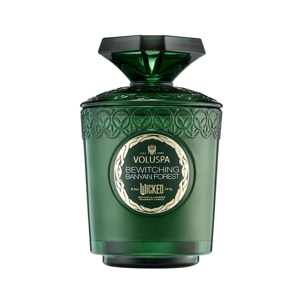 Voluspa Wicked Bewitching Banyan Forest Boxed Candle