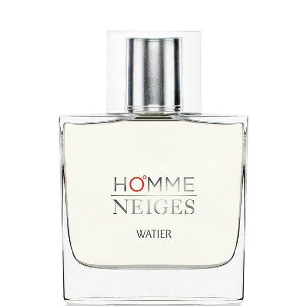 Homme Neiges Eau de Toilette Spray