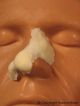 FRW-001 Broken Nose Large 114703  