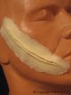 FRW-040 Narrow Cut Large 114731  