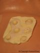 FRW-042 Warts, Moles, Pimples 114734  
