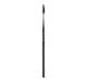204 Lash Brush 122718  