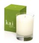 Skylight Candle 10oz 159858  