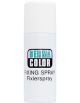 Dermacolor 72290 Fixing Spray 5oz Aerosol 172232  