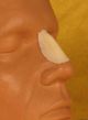 FRW-008 Small Aquiline Nose 185568  