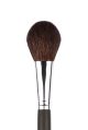 Blush Brush 201288  