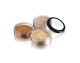 SHP Shimmer Powder 203770  