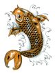 HookUp Tattoos Single Tattoo Koi Fish 211801  