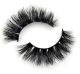 SASHAYSORELLA SashaySorella Roxbury 3D Mink Lash 216826  