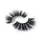 SashaySorella Joy Rd Faux Mink Lashes 216844  