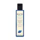Phytocedrat Purifying Treament Shampoo 8.45oz 217765  